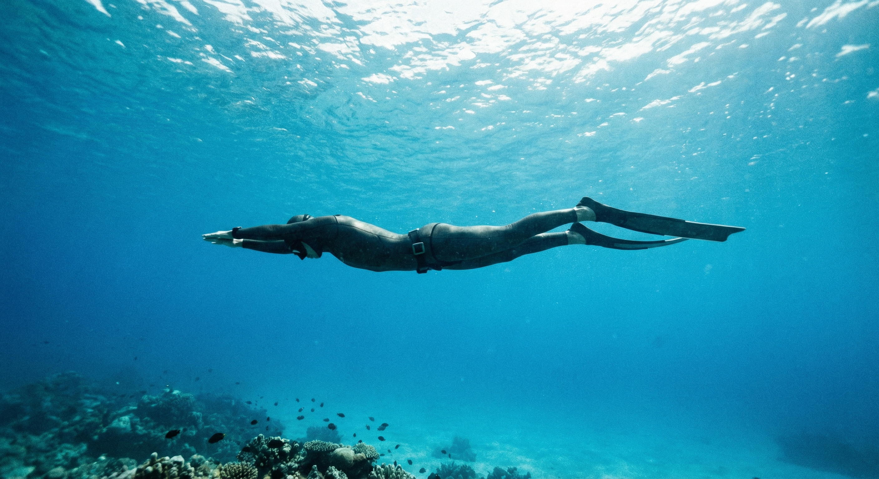Freediver Foundations