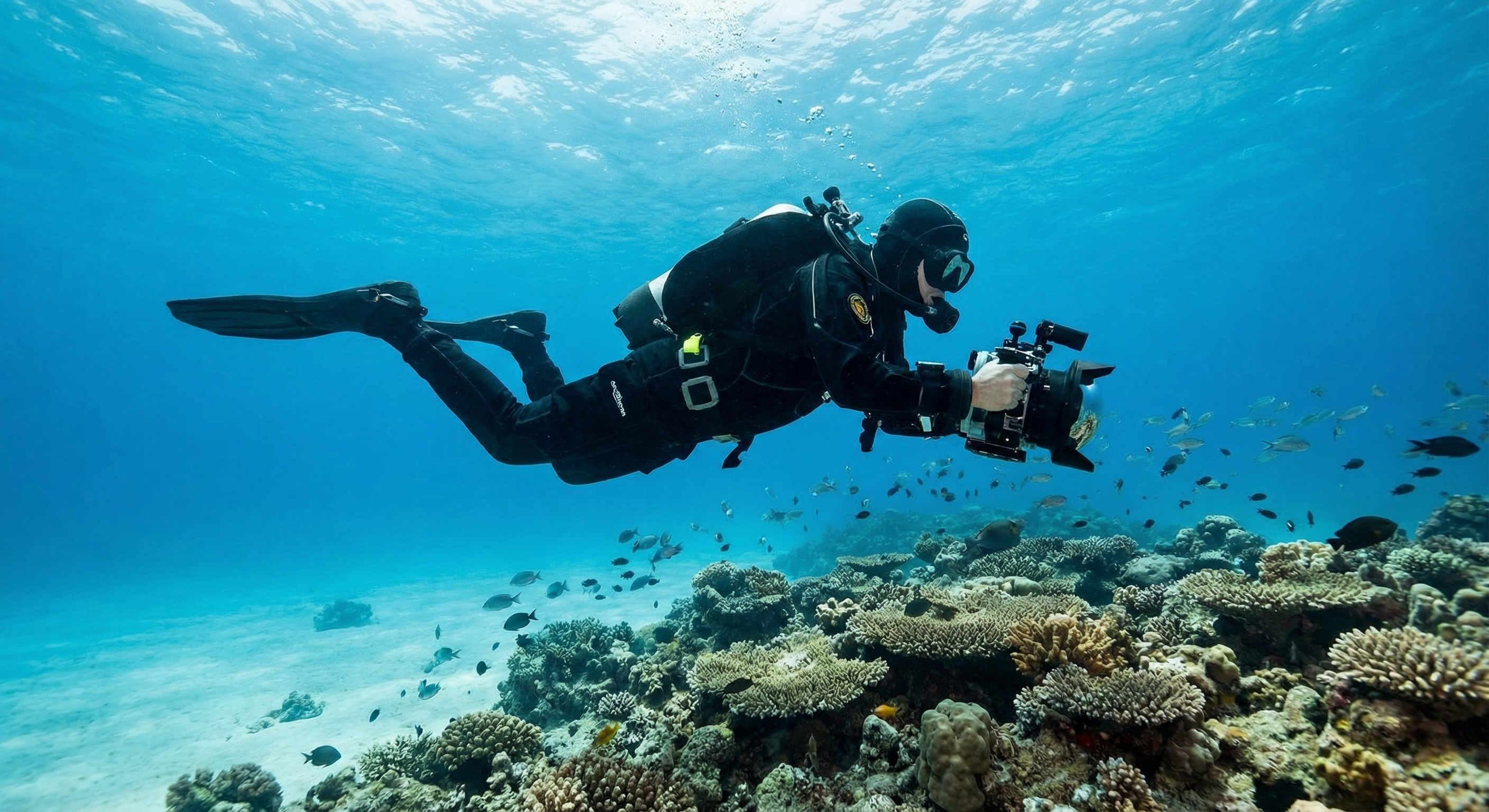 Photo & Video Diver