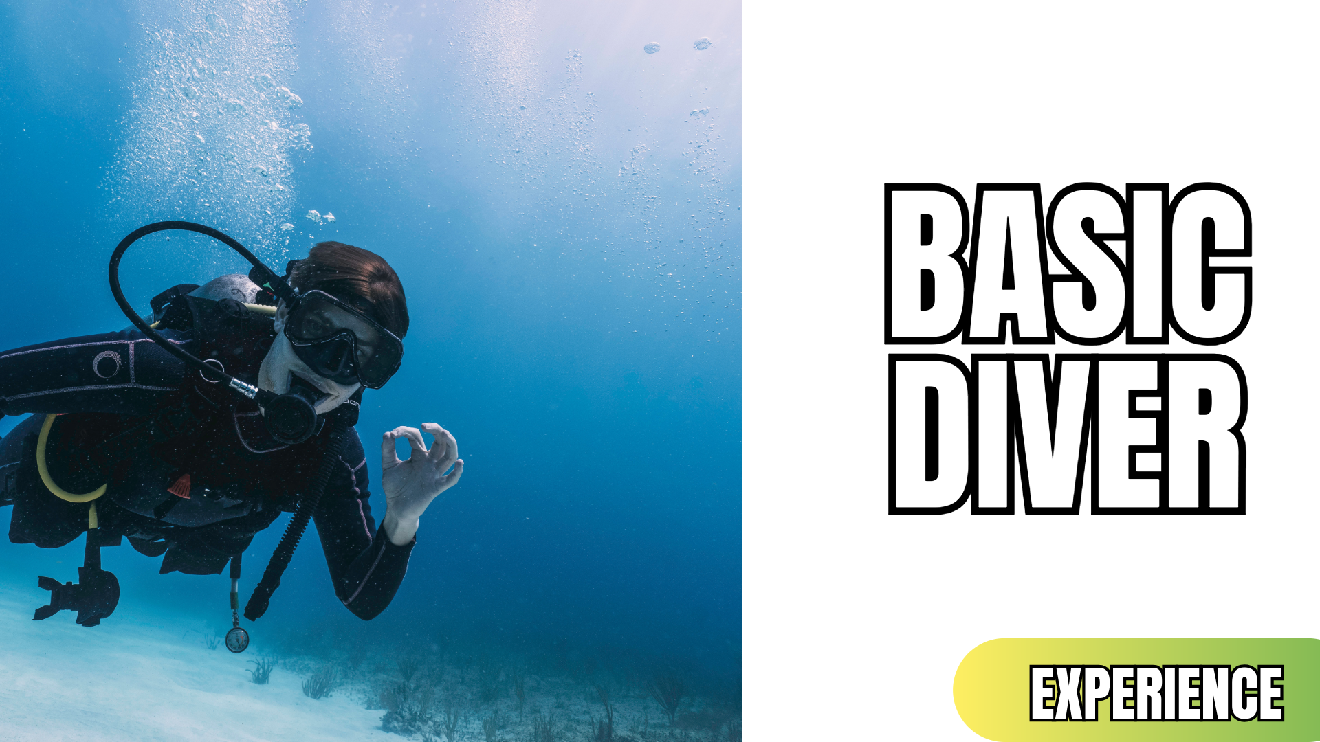 Basic Diver